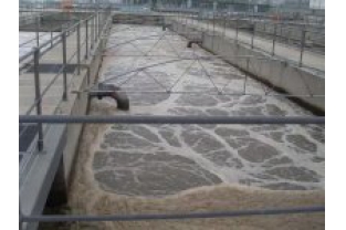 氨氮在废水生化过程中是如何被去除的
